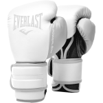 Боксерские Перчатки Everlast