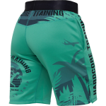 Тренировочные шорты Hardcore Training Voyage Mint