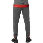 Штаны Hayabusa Men’s Athletic Joggers Dark Heather Grey