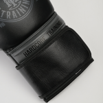 Боксерские перчатки Hardcore Training Premium чёрный/серый