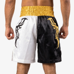 Боксёрские шорты Top King Boxing 02 BS
