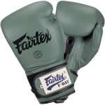 Боксерские перчатки Fairtex F-Day BGV11
