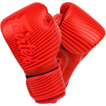 Боксерские перчатки Fairtex BGV14 R