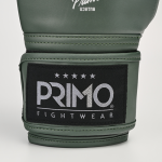 Боксёрские перчатки Primo Emblem II Semi Leather Army зелёные