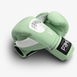 Боксерские перчатки Primo Emblem II Semi Leather Mantis