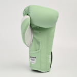 Боксёрские перчатки Primo Emblem II Semi Leather Mantis