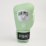 Боксёрские перчатки Primo Emblem II Semi Leather Mantis