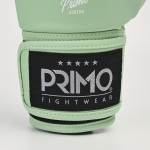 Боксёрские перчатки Primo Emblem II Semi Leather Mantis