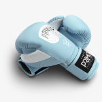 Боксерские перчатки Primo Emblem II Semi Leather Arctic Blue