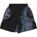 Детские шорты Hardcore Training Heraldry Black 2.0