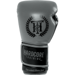 Боксерские перчатки Hardcore Training Revolution Gray/Black PU