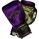 Боксерские перчатки No Boxing No Life Violeta