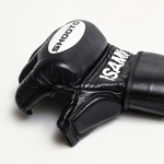 МMA перчатки Isami Shooto MMA Gloves
