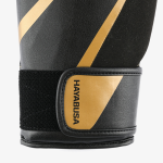 Перчатки Hayabusa E1 Boxing Gloves Black/Gold