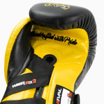 Перчатки Rival RFX-Guerrero-V Sparring Gloves P4P Edition