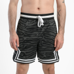 Спортивные шорты Nike Air Jordan/Zebra Printing
