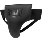 Защита Паха Everlast