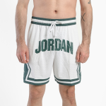 Спортивные шорты Nike Jordan FV8612-100