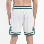 Спортивные шорты Nike Jordan FV8612-100