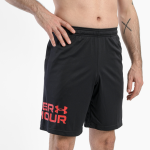 Шорты Under Armour