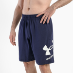 Шорты Under Armour