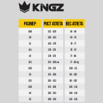 Кимоно Kingz Kimonos Kore V2 White