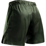 Шорты Hayabusa Core 3/4 Thigh Fight Shorts Green