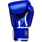 Боксерские перчатки Leaders Thai Series 2 TS3S2 BL/WH