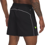 Шорты Under Armour