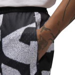 Спортивные шорты Nike Jordan FV8630-010