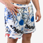 Спортивные шорты Nike Jordan 011