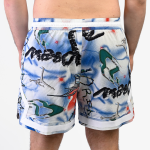 Спортивные шорты Nike Jordan 011