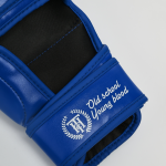 Гибридные перчатки Hardcore Training Base PU Blue