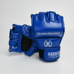 ММА перчатки Hardcore Training Base PU Blue