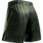 Шорты Hayabusa Core Full-Length Shorts Green