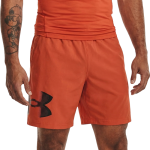 Шорты Under Armour