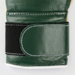 Боксерские перчатки Winning 16 Oz CO-MS-600B тёмно-зелёный/золотой