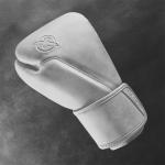 Боксёрские перчатки Hayabusa T360 Leather Boxing Gloves бело-серые