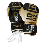 Боксерские перчатки Leone Elite